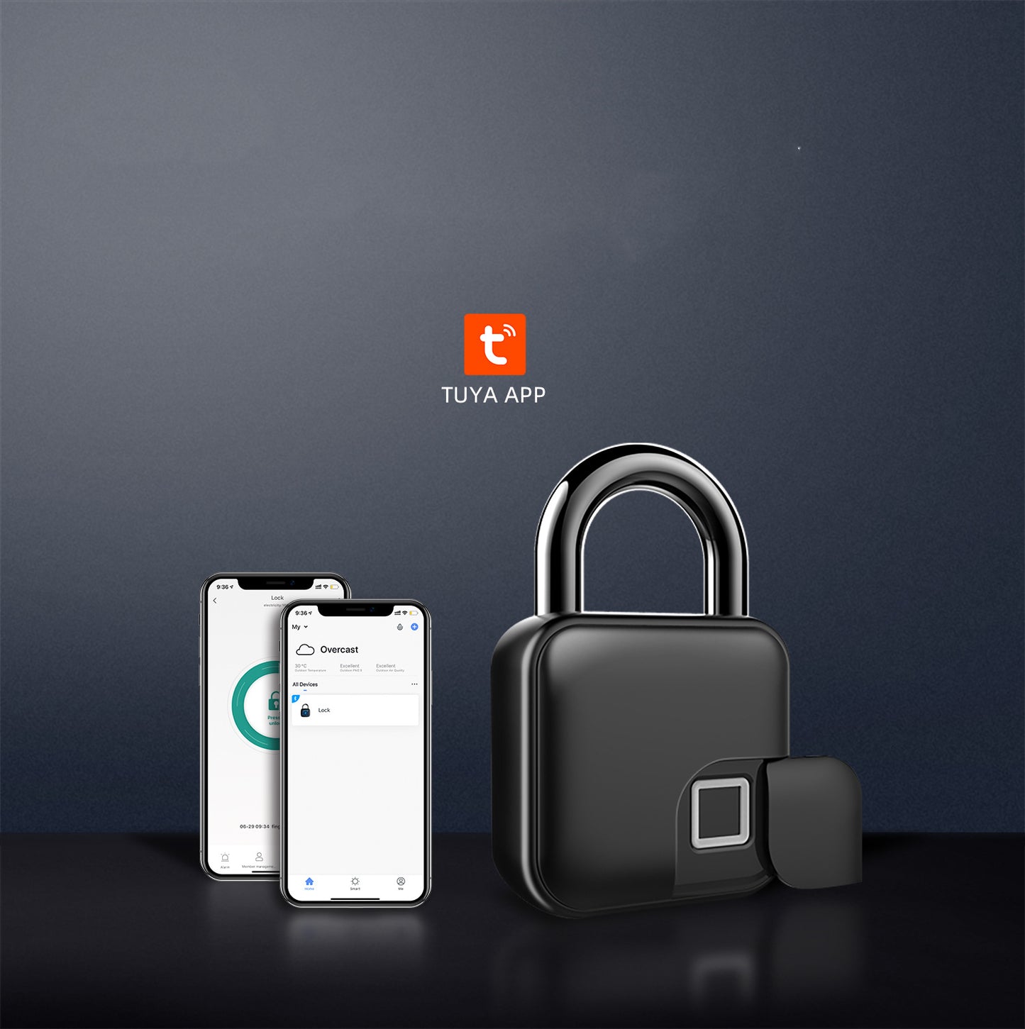 Fingerprint Lock