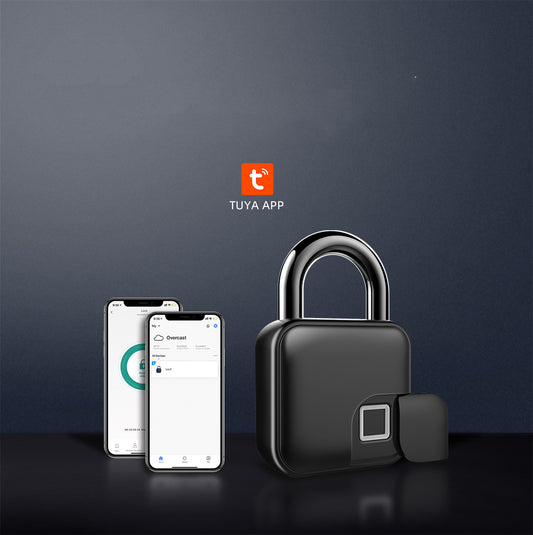 Fingerprint Lock